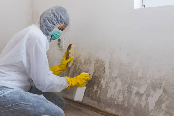 Best Crawl Space Mold Removal  in Garfield Heights, OH