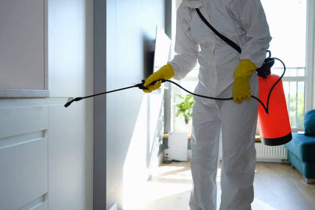 Best Attic Mold Removal  in Garfield Heights, OH