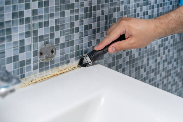 Best Mold Removal Company Near Me  in Garfield Heights, OH