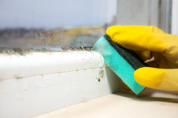 Trusted Garfield Heights, OH Mold Removal Experts