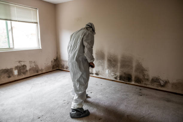 Water Damage Restoration in Garfield Heights, OH