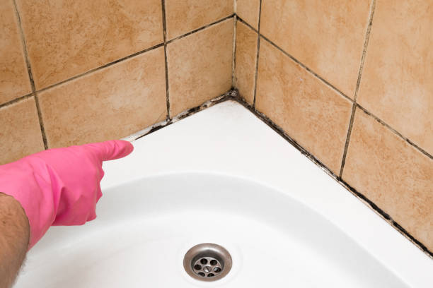 Garfield Heights, OH Mold Removal Company